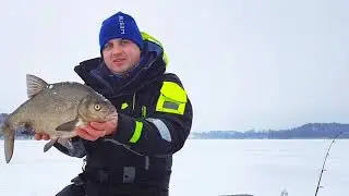 Leszcze z Lodowej tafli / wekarstwo podlodowe 2019 #wedkarstwomazury #westin #lowrance