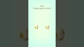 Hatching two at   once 5 Km egg (Azurill X Happiny) - Pok&eacute;mon Go