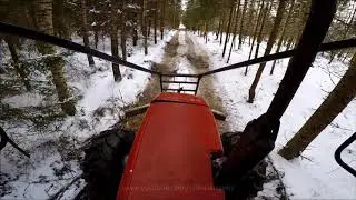 MTZ 952.3+Palms trailer in winter forest