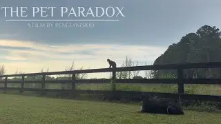 The Pet Paradox