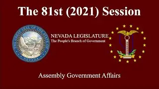 2/3/2021 - Assembly Committee on Government Affairs
