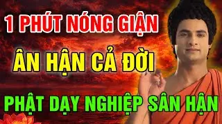1 Phút Nóng Giận, Ân Hận Cả Đời: Lời Phật Dạy Cảnh Tỉnh Về Nghiệp Quả Sân Hận