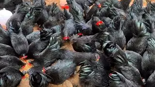 **