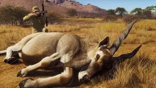 MASSIVE COMMON ELAND
