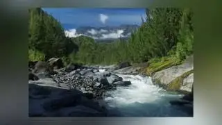 L'&icirc;le de la R&eacute;union 974 . Instants Nature