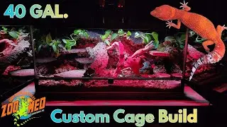 How to BUILD a custom BIO-ACTIVE cage for your LEOPARD GECKO - 40 gallon (2026)