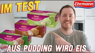 Ehrmann: Grand Dessert Eiscreme in den Sorten Pistazie, Haselnuss & Kaffee mit Sahne im Test