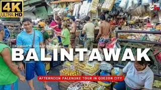 [4K] AMAZING Experience Balintawak Wet Market, Quezon City | Afternoon Palengke Tour 2024