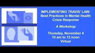 Implementing Travis' Law Workshop 11/4/2021