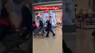 #crew #flightattendant #fypシ゚viral #viralvideo #airport #shortvideo #lax #subscribe