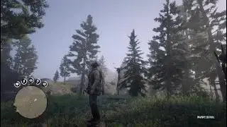 RDR2 - Secret of the Ancient Burial Ground