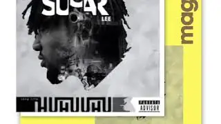 Sugar Lee Huhuuhu Zoom cover
