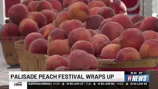 2025 Palisade Peach Festival wraps up
