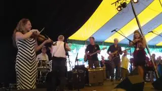 Alligator Man by The Speckers