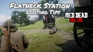 Flatneck Station RD2