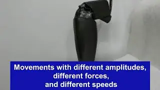 Z Robotics cyberprosthetics 2020 eng