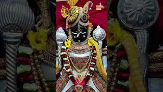 Dwarkadhish live darshan #dwarka #dwarkadhish #dwarkadhishtemple #live
