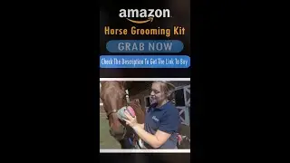 Horse Grooming Kit - Tack Shops Near Me - Horse Equipment   #Shorts