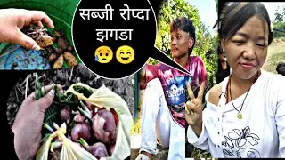 सब्जी ma लगानी गरियो 😲सब्जी रोप्दा रोप्दै झगडा ,😥#please_subscribe_my_channel 