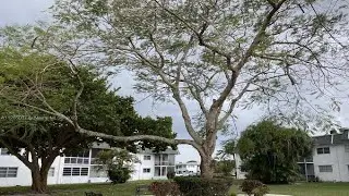 6501 Winfield Blvd, Margate, FL Presented by Carlos Martell.