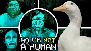 No, Im Not a Human (but im a duck)