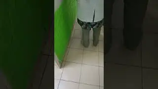 Command training