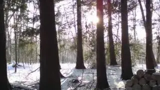 zima randres dk. adis