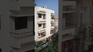 pigeon beautiful very nice good flying racing pigeon good day I love pigeon 