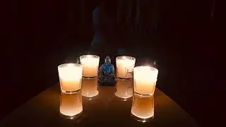904 day / yoga_everyday