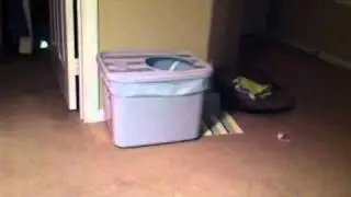 Clever Cat litterbox