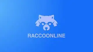 What is a VPN? RaccoonLine dVPN