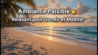 Ambiance Oc&eacute;anique Paisible 🌅 | Jazz Relaxant pour Dormir et M&eacute;diter