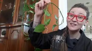 Shaker Library Presents: Plant Science with Annelise