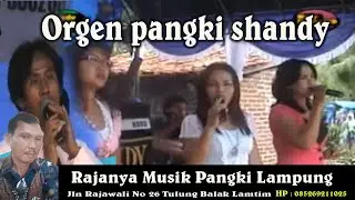 Shandy Musik pangki orgen remik lampung jadul /Radio Shandy
