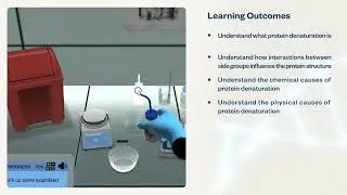 Protein Denaturation | Virtual Lab