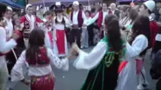 RINIA MEDVEGJË 3