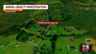 3 dogs found shot to death along Greenville County, South Carolina, road, deputies say