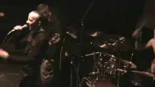 DonasdogamA Собака Баскервилий Live in Zebra 20 09 09