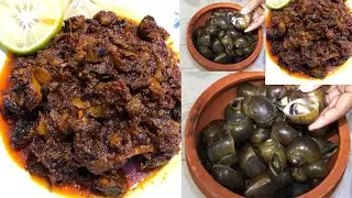 Snail Cooking |Healthy Snail Recipe|New Spicy fried and braised river snails recipe video