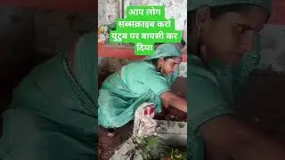 jay mata di jay mata di #viral #viralshorts #shorts #shivanivlog