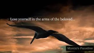 Lose Yourself  | Rumi #RumiQuotes#RumiWisdom#MysticWords#SufiWisdom#RumiLove#SufiWisdom