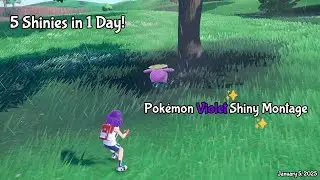 5 Shinies in 1 Day! Pok&eacute;mon Violet Shiny Montage - January 5, 2025