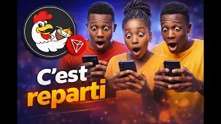 Cette crypto fait son MIRACLE