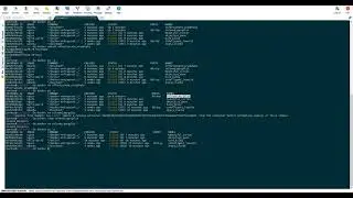 Some useful Basic Commands of Docker