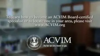 Why It's So Great to Be an ACVIM Diplomate