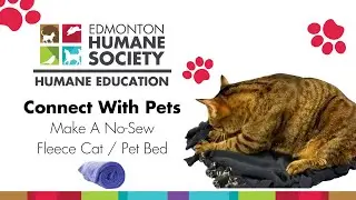 Make A No-Sew Fleece Cat/Pet Bed : Humane Education - Connect With Pets