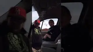 Baby shark in the car splatter jaws revenge