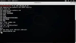 How to using Basic Protocol Interaction   SMTP