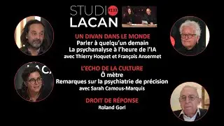 Parler à quelqu’un demain. La psychanalyse à l’heure de l’IA. Thierry Hoquet et François Ansermet
