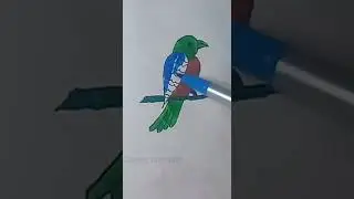 Bird  #drawing #art #paint #coloring #color shadow
